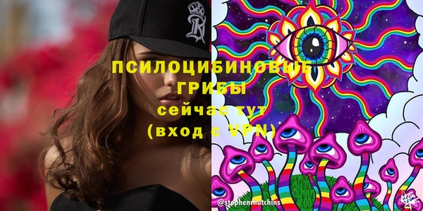 гашик Алзамай