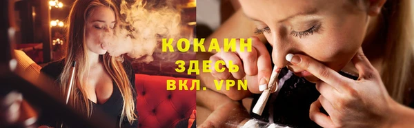 индика Алексеевка