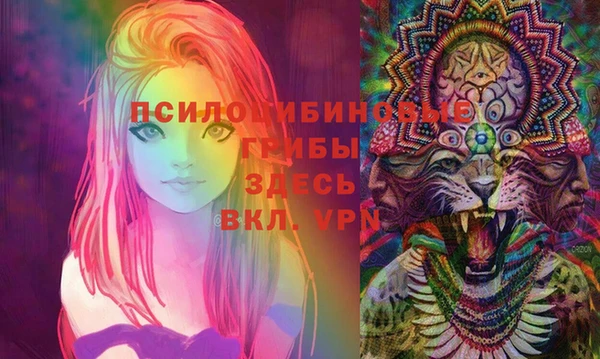 индика Алексеевка