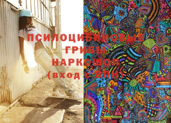 гашик Алзамай