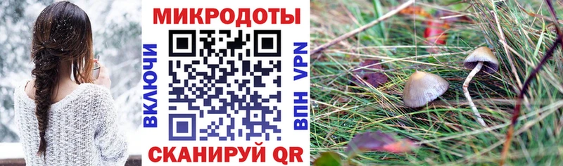 Галлюциногенные грибы MAGIC MUSHROOMS  Нелидово 